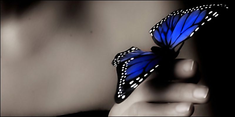 Τι νόημα θα είχε η ομορφιά της ζωής, αν εσύ δεν βουτούσες μέσα της και αν αυτή δεν μπορούσε να σε ξεκάνει