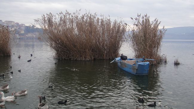 Καστοριανά ραγκουτσάρια
