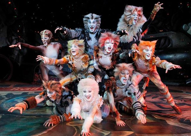The cats *κριτική