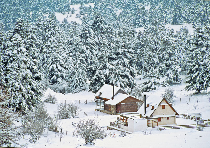 Χωριά στης παιδικής ηλικίας το χιόνι…